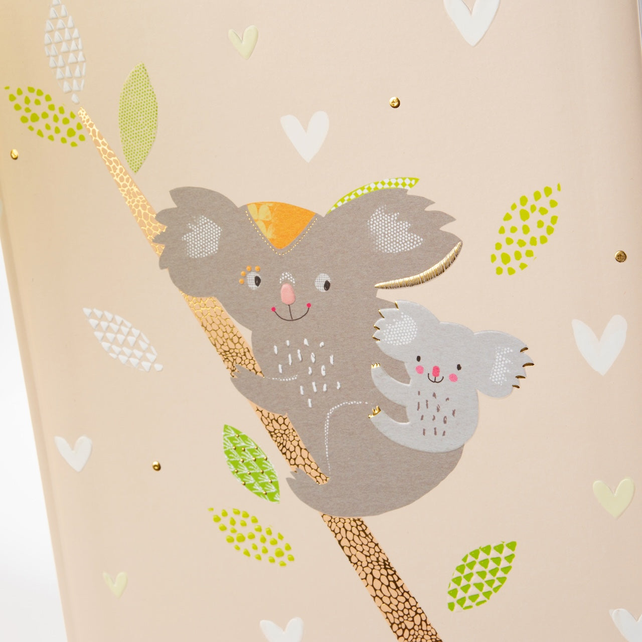 Album photo Koala - 25x25 cm