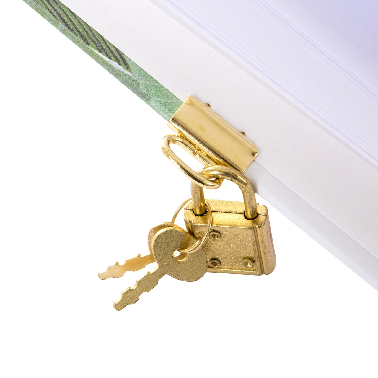 Dagboek Tropical Flamingo