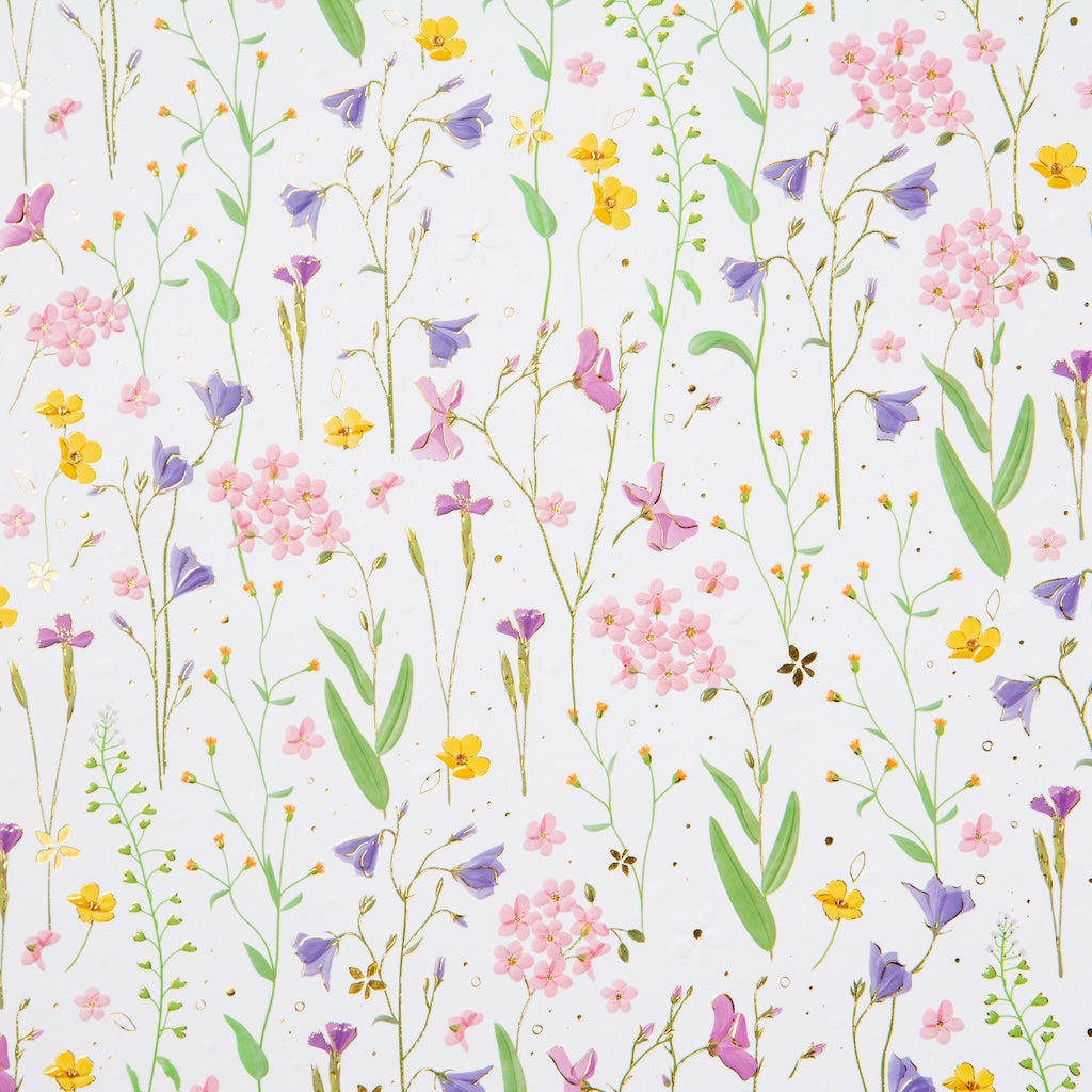 Journal praid - blanc