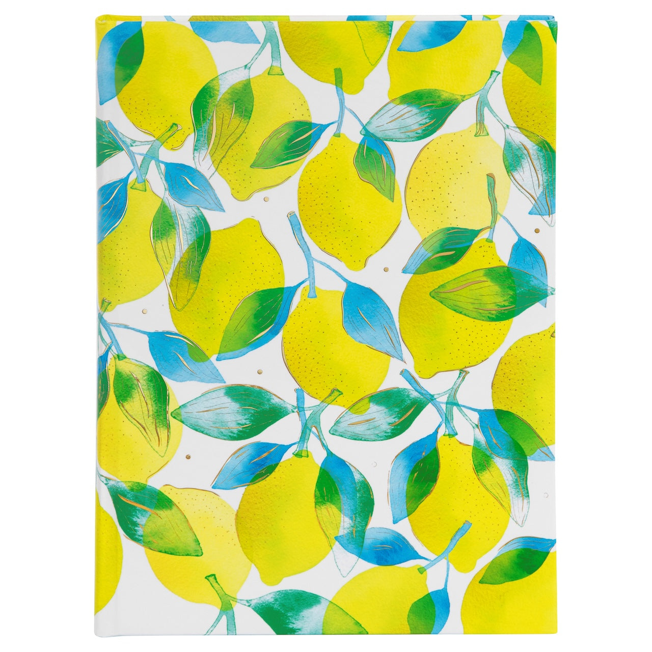 Note de carnet A5 agrumes